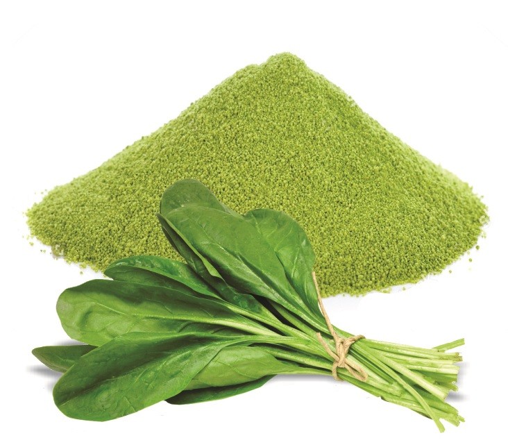 Spinach (Palak) Powder